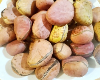 5 Pcs or More Red Organic  Kolanut Oji Eze Traditional Gworo Kola Nut