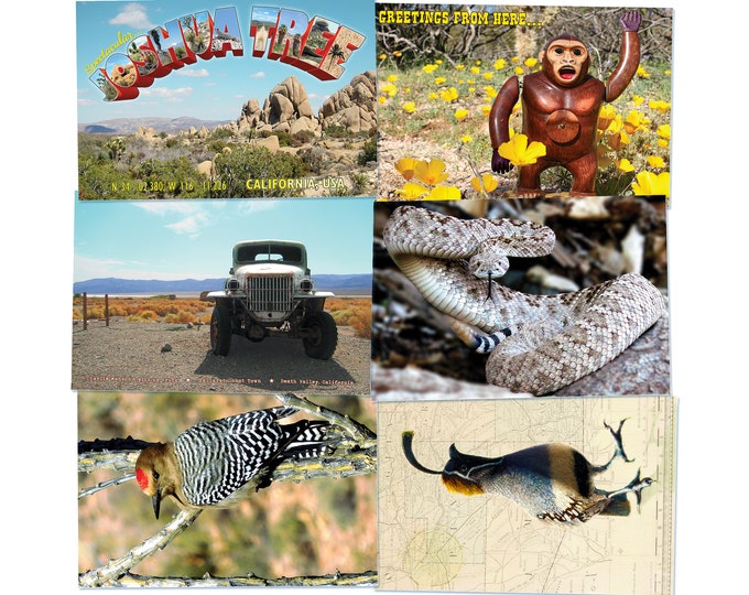 Postcards and Greetings - Little Desert Animals Postcards and Greetings - Little Desert Animals