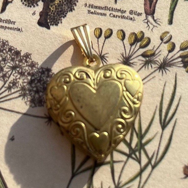 Mooie hart medaillon medaillon oude medaillon messing vintage sier gefacetteerde liefde foto medaille vintage ketting