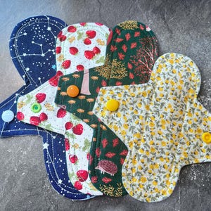 May include: Five reusable cloth menstrual pads in various patterns. The pads are made of soft fabric and have snaps for easy attachment. The patterns include a blue fabric with white stars, a white fabric with red strawberries, a green fabric with brown leaves, a white fabric with yellow flowers, and a green fabric with a hedgehog.