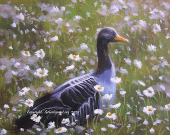 Daisy Duck...Original Oil Painting by Maresa Lilley, SND