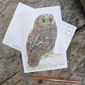 May include: A postcard featuring a watercolour illustration of a Tawny Owl with brown and white feathers. The owl is perched on a branch with green leaves. The text "Tawny Owl" is printed below the owl.