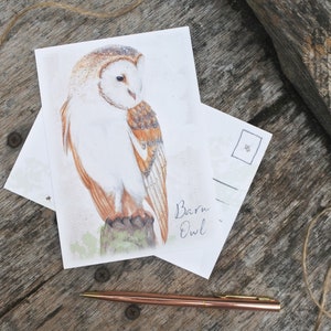 May include: A watercolour illustration of a barn owl on a postcard. The owl is white with brown markings and is perched on a branch. The postcard has the text "Barn Owl" written on it.