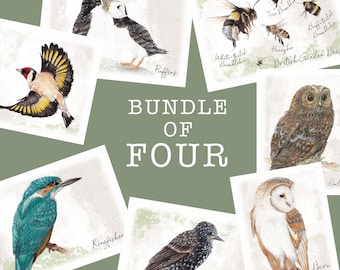 Buy Any 4 Wildlife Postcards for 5 Pounds! Mix and Match Card Bundle, Pick any Four Illustrated A6 Card Pack of Your Choice With Envelope