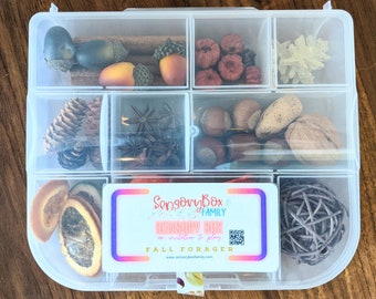 Fall Forager Autumn Themed Sensory Box Loose Parts Play Tinker Tray Montessori