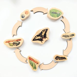 Butterfly Life Cycle Wooden Blocks Montessori Loose Parts Homeschool STEM Sensory Bin Tinker Tray