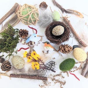 A collection of natural and artificial items, including a bird's nest, eggs, feathers, twigs, moss, pine cones, and small birds.
