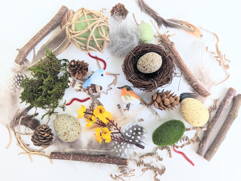 A collection of natural and artificial items, including a bird's nest, eggs, feathers, twigs, moss, pine cones, and small birds.