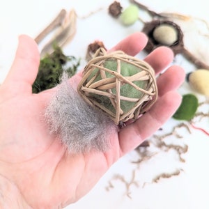 Bird Themed Sensory Box | Loose Parts Tinker Tray Montessori | Nature Bird Activity Kit | Bird Nest Exploration Set | Invitation to Play bild 7