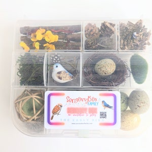 A clear plastic box with a variety of natural items, including twigs, moss, pine cones, and bird nests. The box is labeled "Sensory Box Family" and "The Early Bird".