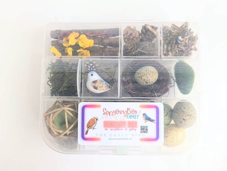 A clear plastic box with a variety of natural items, including twigs, moss, pine cones, and bird nests. The box is labeled "Sensory Box Family" and "The Early Bird".