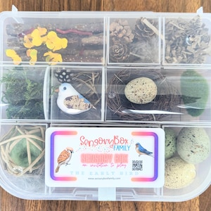 A clear plastic box with nine compartments. It has a variety of natural items, including twigs, moss, pine cones, eggs, and bird nests. The box is labeled "Sensory Box Family" and "The Early Bird".