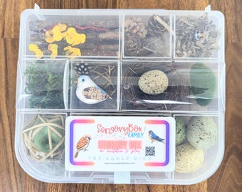 Bird Themed Sensory Box | Loose Parts Tinker Tray Montessori | Nature Bird Activity Kit | Bird Nest Exploration Set | Invitation to Play