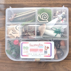 May include: A clear plastic sensory box with multiple compartments filled with various natural and toy items. Includes wooden cutouts, faux mushrooms, acorns, beads, and a card that reads "Sensory Box Family: Into the Woods."