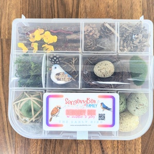 Bird Themed Sensory Box Loose Parts Play Tinker Tray Montessori