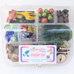 May include: A clear plastic storage box with a variety of sensory items, including toy animals, colorful beads, rocks, and green leaves. The box is labeled "Sensory Box Family" and "Where the Wild Things Are".