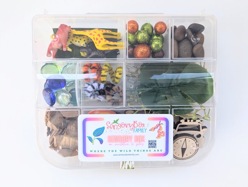 May include: A clear plastic storage box with a variety of sensory items, including toy animals, colorful beads, rocks, and green leaves. The box is labeled "Sensory Box Family" and "Where the Wild Things Are".