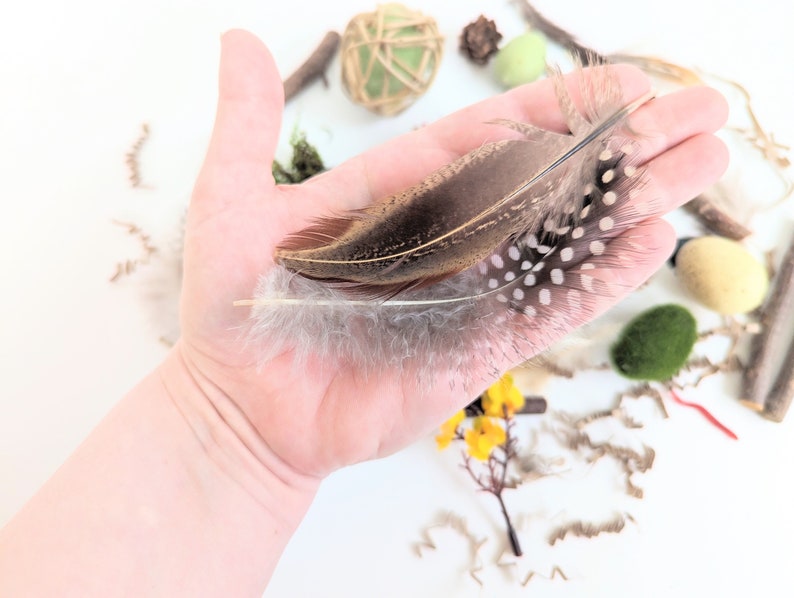 Bird Themed Sensory Box | Loose Parts Tinker Tray Montessori | Nature Bird Activity Kit | Bird Nest Exploration Set | Invitation to Play bild 6