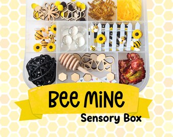 Bee Sensory Box for Kids | Bumblebee Flower Loose Parts Play Kit | Spring Tinker Tray Montessori Activity