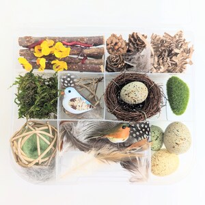 Bird Themed Sensory Box | Loose Parts Tinker Tray Montessori | Nature Bird Activity Kit | Bird Nest Exploration Set | Invitation to Play bild 2