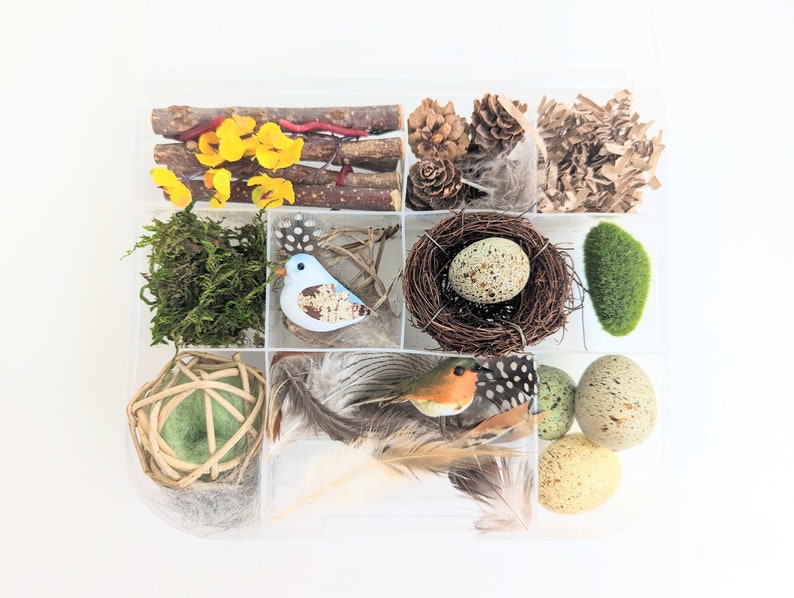 Bird Themed Sensory Box | Loose Parts Tinker Tray Montessori | Nature Bird Activity Kit | Bird Nest Exploration Set | Invitation to Play bild 2