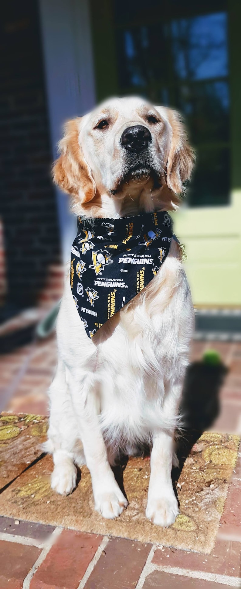 Over the Collar Bandana Pittsburgh Penguins Reversible Dog Bandana 3 Sizes