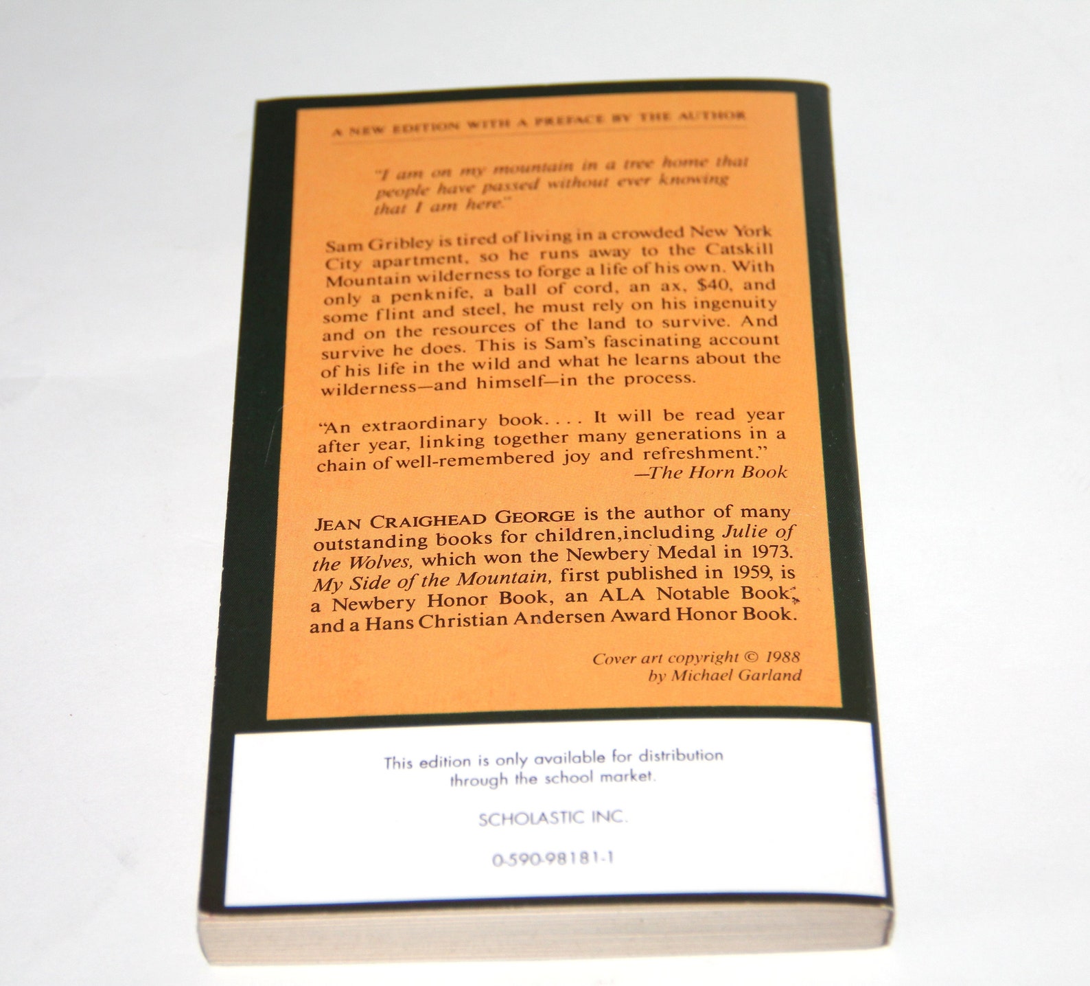 my side of the mountain by jean craighead george summary my side of the mountain by jean craighead george summary