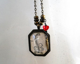 Vintage French Snake Skeleton Illustration Glass Cabochon Necklace with Swarovski Heart