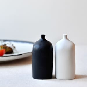 Minimalist Porcelain Salt and Pepper Shakers: Black and White Condiment Set