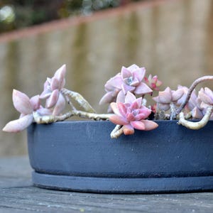 Handgemaakte zwarte keramische bonsaipot met dienblad: aardewerk plantenbak, extra breed en ondiep