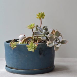 Blue Bonsai Pot, Ceramic Planter, Rustic Bonsai Planter, Japandi Planter, Beachy Indoor Planter, Pot With Tray, Plant Lover, Lucky Cat