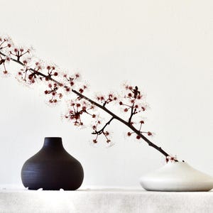 Handmade Ceramic Vases: Black Porcelain & White Stoneware, Minimalist Decor