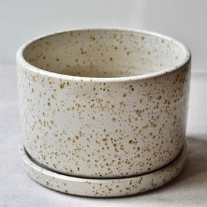 Round Bonsai Pot, Handmade Bonsai Pot, Ceramic Planter With Plate, Speckled Ceramic Planter, Stoneware Pottery, Indoor Planter, Hostess Gift