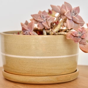 Handmade Stoneware Bonsai Pot: Striped Matte Planter with Tray