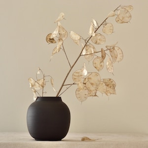 Puede incluir: Un jarrón de cerámica negro mate con un cuerpo redondeado y bulboso y una abertura estrecha. Dentro del jarrón hay una rama alta y delgada de lunaria seca, con vainas de semillas translúcidas, papiráceas y en forma de moneda en tonos beige.