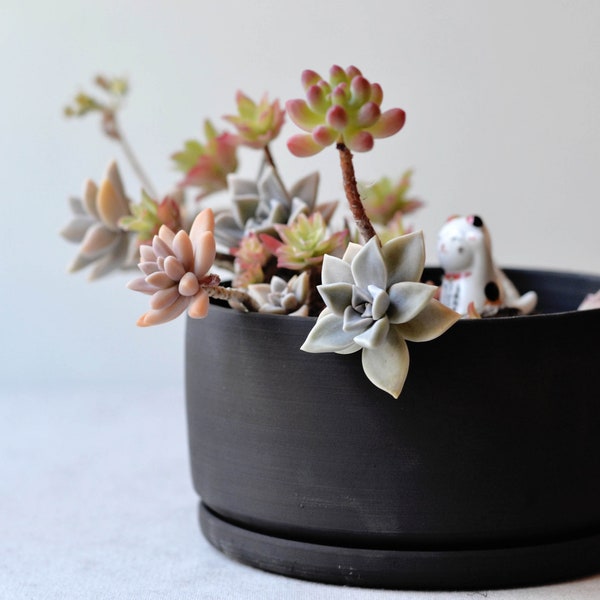 Black Bonsai Pot, Matte Plant Pot With Maneki Neko, Japanese Home Gift, Planter With Tray, Lucky Cat Figurine, Unique Planters and Pots