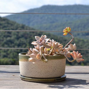 Handmade Speckled Clay Bonsai Pot: Mottled Green Glaze, Stoneware Planter