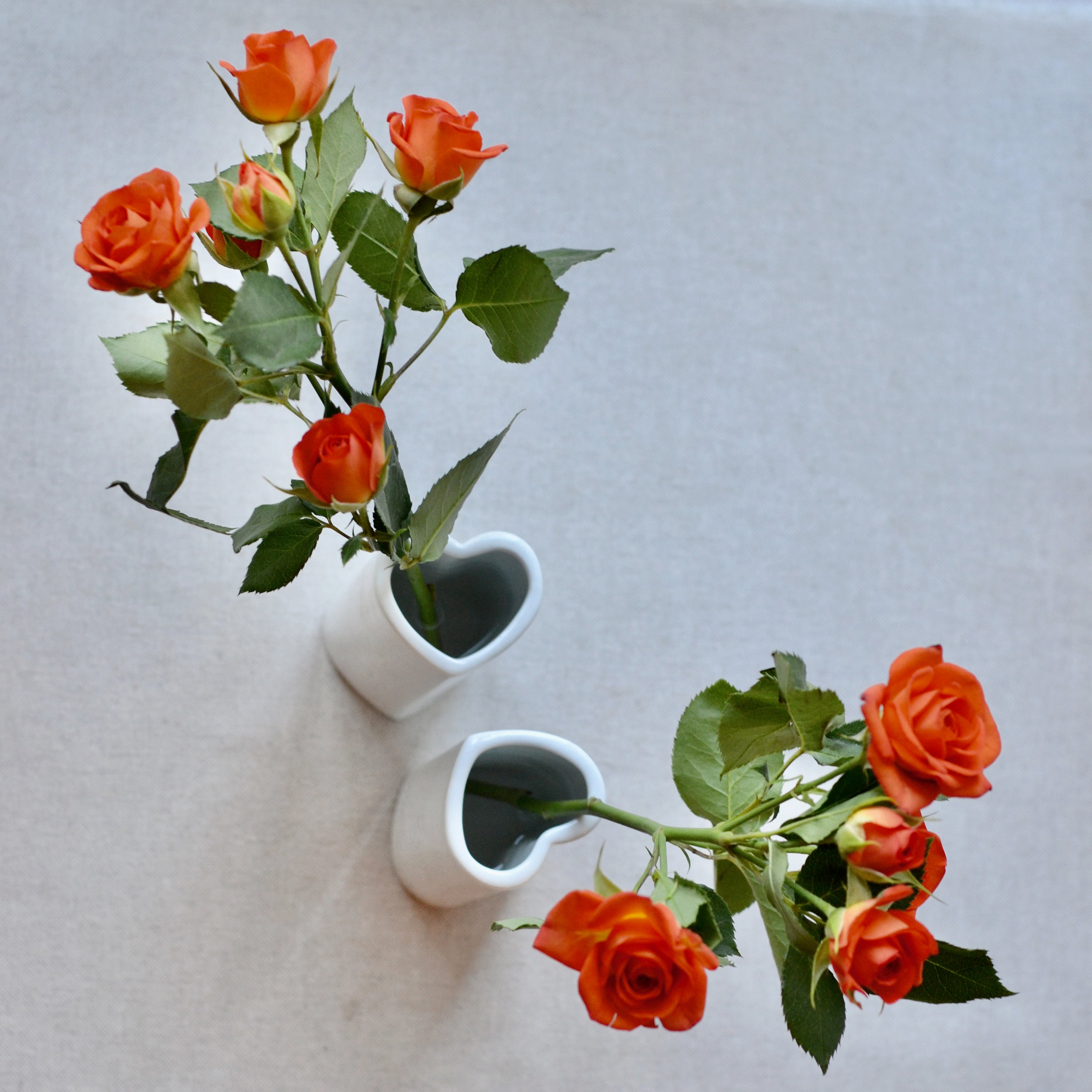 EagleWiz - Vaso per piante in ceramica bianca, per interni, a forma di cuore, con manici, idea per uso interno, disponibile in 3 misure (8 cm