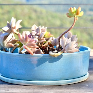 Aquamarine Planter, Modern Bonsai Pot, Ceramic Planter, Round Bonsai Pot With Plate, Planter With Tray, Rustic Planter, Succulent Pot