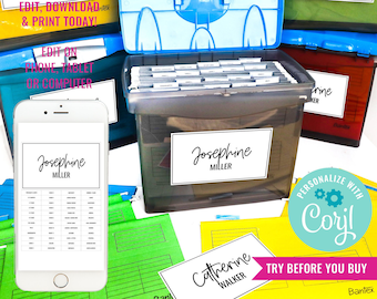 Printable Labels Filing System Milestone File Tab Organization Modern File Life Kids Memory Box Keepsake Instant Download Edit in Corjl