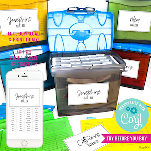 Printable Labels Filing System Milestone File Tab Organization Modern File Life Kids Memory Box Keepsake Instant Download Edit in Corjl