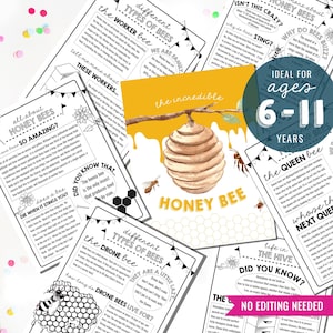 Kids Educational Activity Sheets Honey Bee Activity Sheets Bee Activity Sheet Kids Learn about Bees Instant Download Print at Home