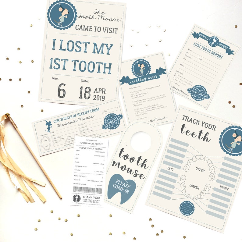 Tooth Mouse Set Official Tooth Mouse Letter Receipt Certificate Sign Boys Tooth Mouse Printable Instant Download and Edit with Adobe image 1
