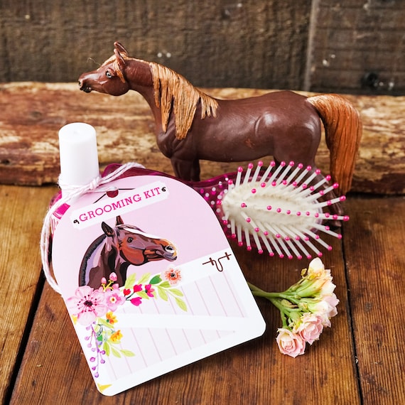 Horse Party Grooming Kit Favor Horse Party Favor Tags Etsy