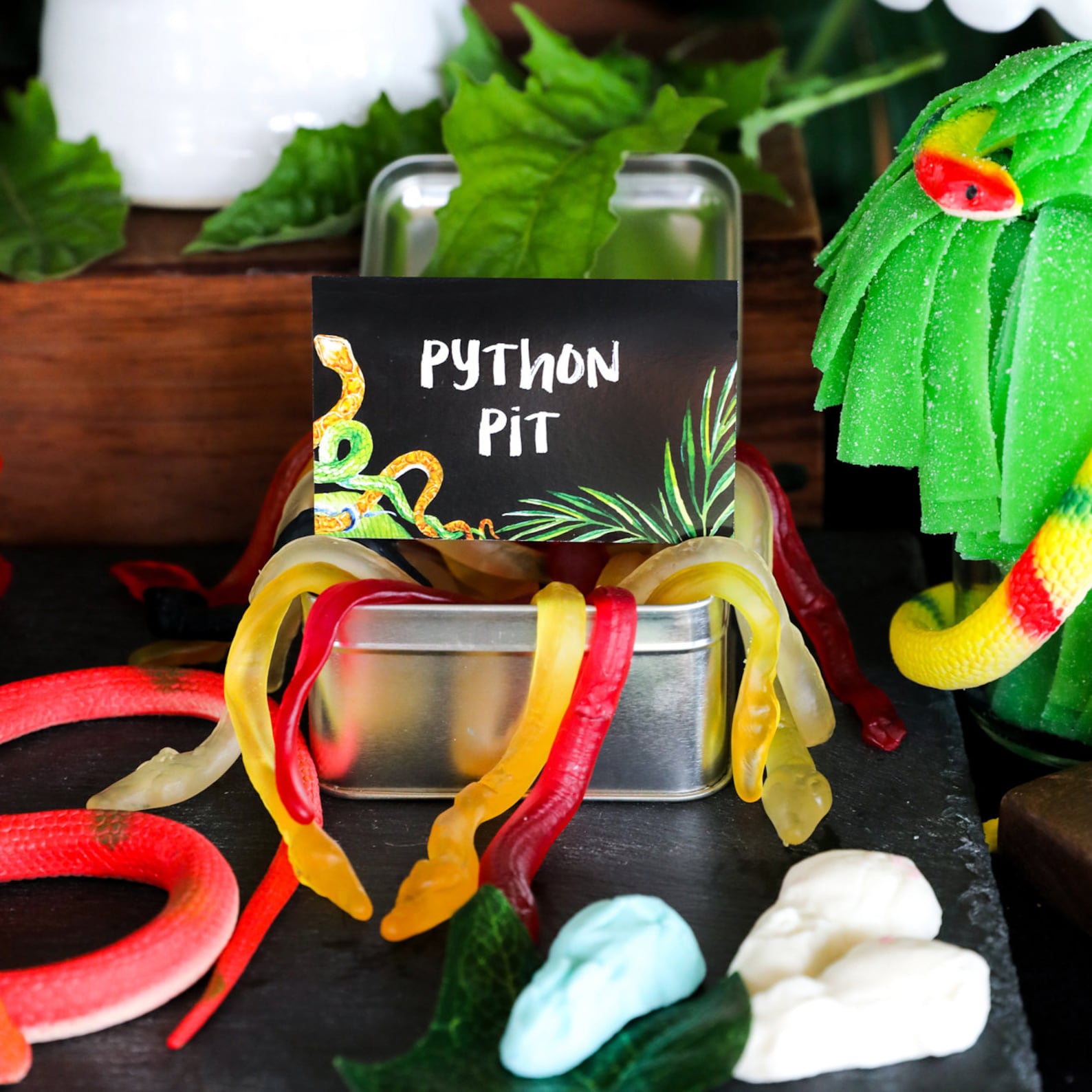 Snake Party Printable Decorations - Snake Party Decor - Reptile Party ...