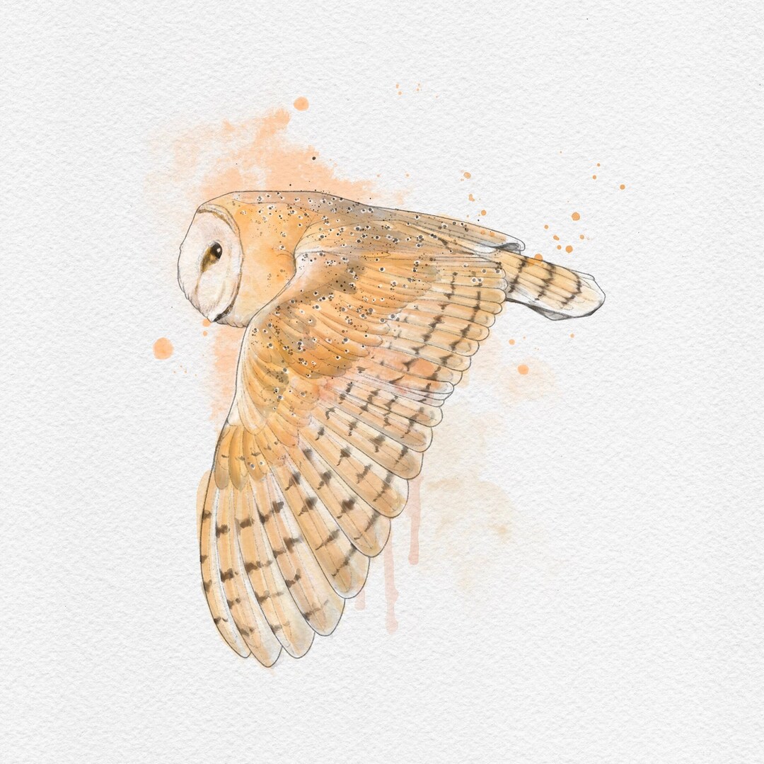 Barn Owl A4 Wall Art Print. Warm Watercolour Owl Print Summer Decor ...