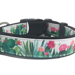 Cactus Dog Collar - Adjustable Dog Collar - Cactus Flower - Floral Cactus