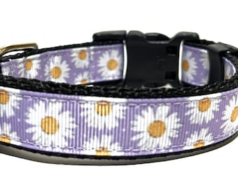 Floral Dog Collar - Adjustable Dog Collar - Daisy, Daisies - 3/4"