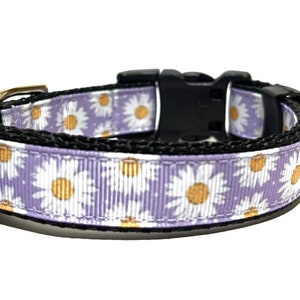 Floral Dog Collar - Adjustable Dog Collar - Daisy, Daisies - 3/4&quot;