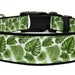 see more listings in the Dog Collars 1" section